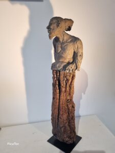 Mémoire de bois
